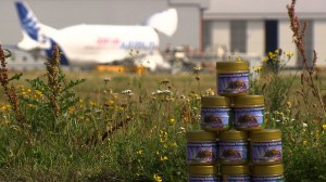 Honey collected from beehives in two locations at Airbus’ Hamburg, Germany facilities is used to help the company monitor its environmental footprint, as well as jarred and given away as presents to customers, suppliers and Airbus staff. Photo: courtesy Airbus.